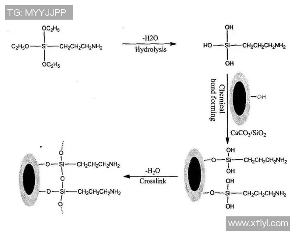 转会市场价格泡沫的成因机制与对足球产业长期发展的影响