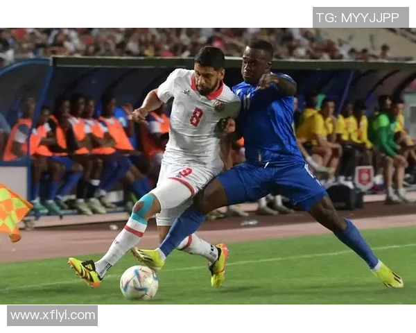 世界杯预选赛因违规遭罚款并停赛 重大处罚引发广泛关注 世界杯预选赛因违规遭罚款并停赛 重大处罚引发广泛关注