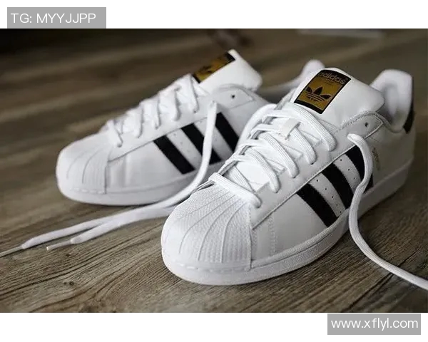 你不知道的篮球八卦:十大冷知识大揭秘 你不知道的篮球八卦:十大冷知识大揭秘